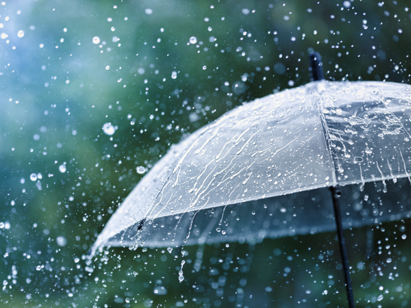 image of umbrella in rain